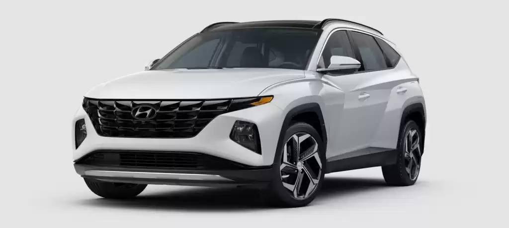 用过的 Hyundai Unspecified 出租 在 利雅得 #20939 - 1  image 