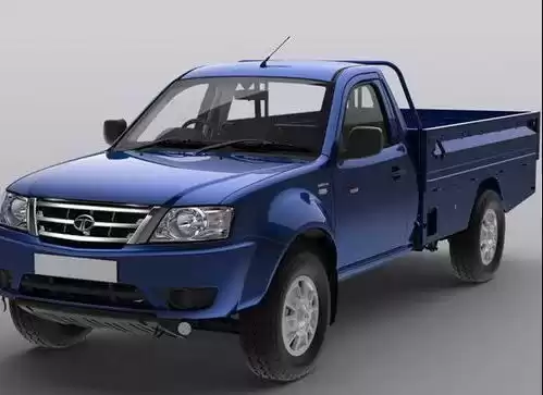 Использовал TATA Xenon Продается в Дубай #21398 - 1  image 