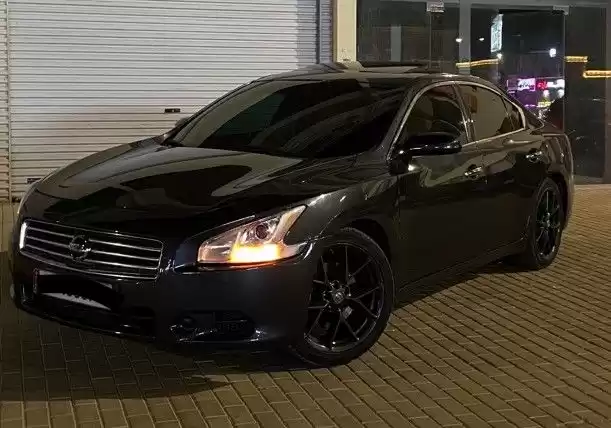 استفاده شده Nissan Maxima برای اجاره که در السد , دوحه #21714 - 1  image 