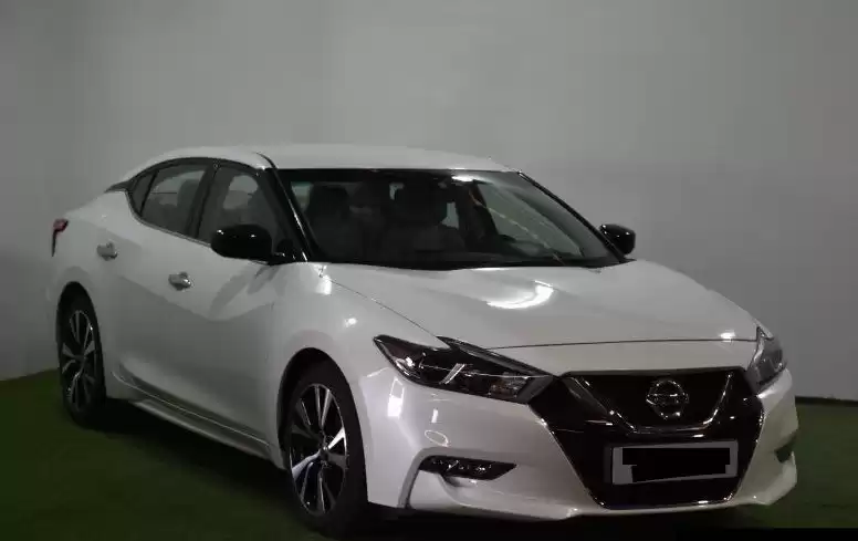 مستعملة Nissan Maxima للإيجار في الدوحة #22080 - 1  صورة 