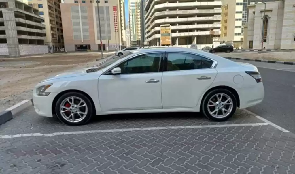 استفاده شده Nissan Maxima برای اجاره که در دوحه #22267 - 1  image 