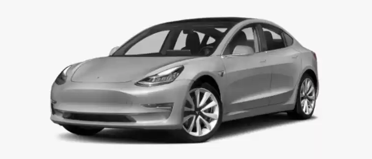 استفاده شده Tesla MODEL 3 برای اجاره که در امان #22357 - 1  image 