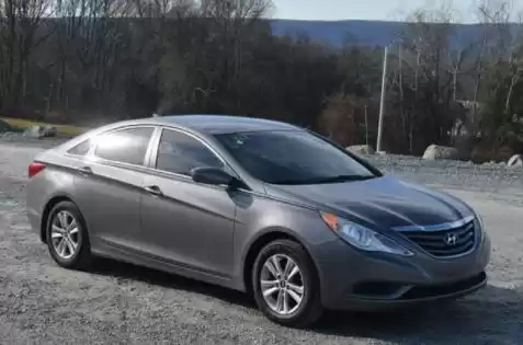استفاده شده Hyundai Sonata برای اجاره که در امان #22424 - 1  image 