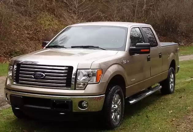 جديدة Ford F150 للبيع في عمان #23230 - 1  صورة 