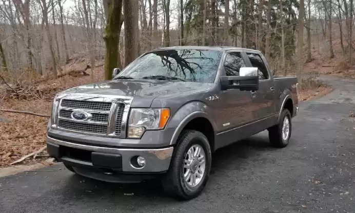 جديدة Ford F150 للبيع في عمان #23231 - 1  صورة 