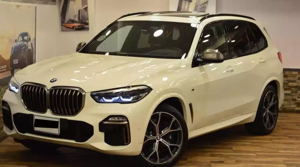 مستعملة BMW X5 للبيع في مركز-الخانكة , القليوبية #23555 - 1  صورة 
