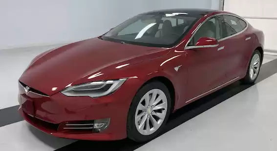 استفاده شده Tesla MODEL 3 برای فروش که در الخسوس , الخنکاح , القلوبیه-استان #23692 - 1  image 
