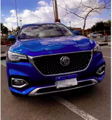 用过的 MG Unspecified 出租 在 加马萨市 , 达卡利亚省 #24117 - 1  image 