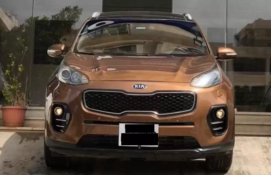 用过的 Kia Sportage 出租 在 开罗省 #24782 - 1  image 