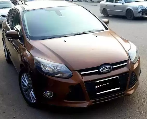 用过的 Ford Focus 出租 在 开罗 , 开罗省 #24945 - 1  image 