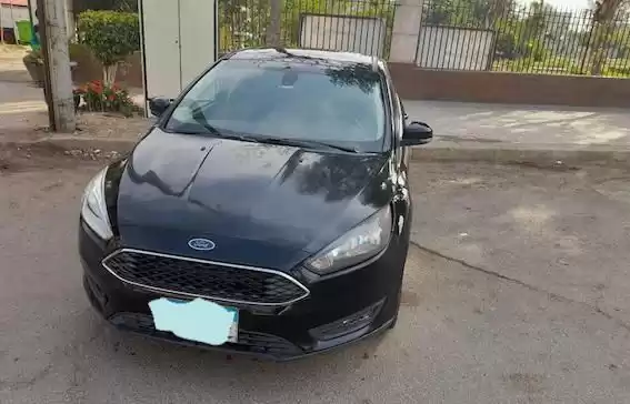 用过的 Ford Focus 出租 在 开罗省 #25147 - 1  image 