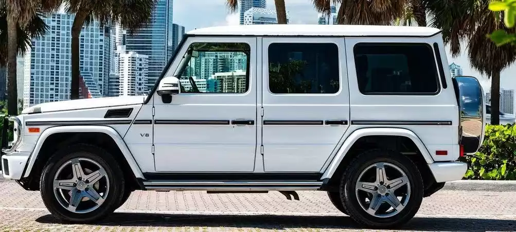Использовал Mercedes-Benz G Class Продается в Стамбул #27004 - 1  image 