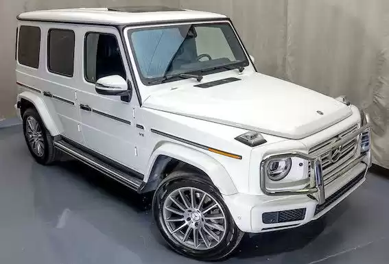 Использовал Mercedes-Benz G Class Продается в Фатих , Стамбул #27067 - 1  image 