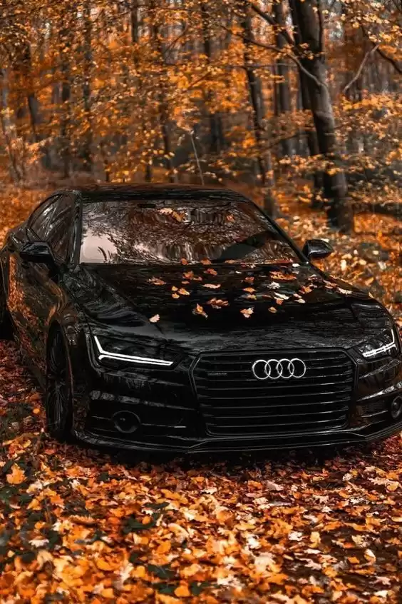 Совершенно новый Audi Q3 Продается в Багдадская мухафаза #28538 - 1  image 