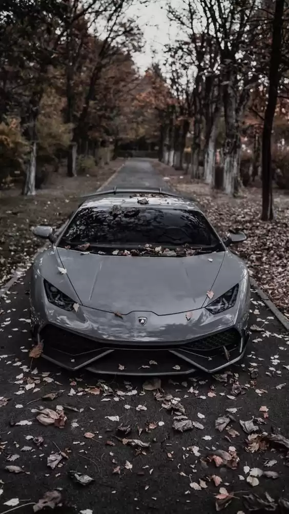 جديدة Ferrari Unspecified للبيع في محافظة بغداد #29210 - 1  صورة 
