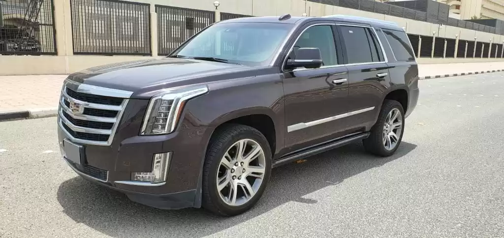 Совершенно новый Cadillac Unspecified Аренда в Багдадская мухафаза #29448 - 1  image 