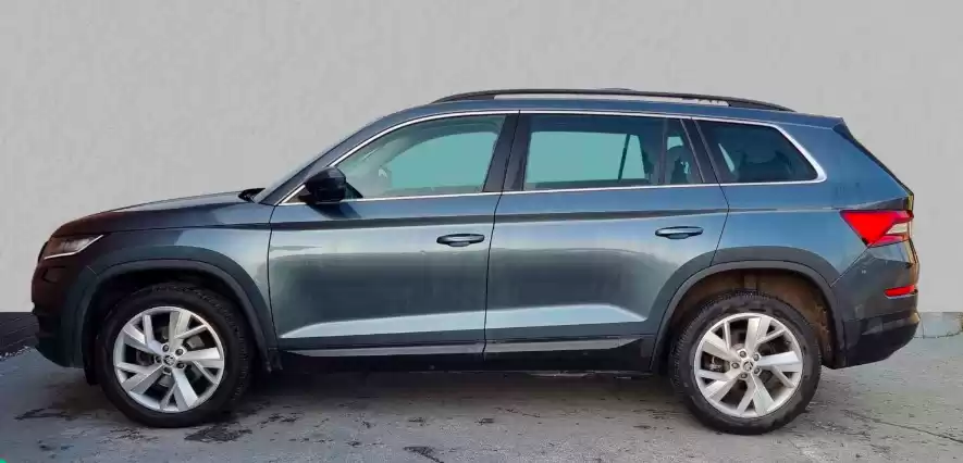 Использовал Skoda Kodiaq Продается в Лондон , Большой Лондон , Англия #30019 - 1  image 