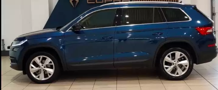 Использовал Skoda Kodiaq Продается в Лондон , Большой Лондон , Англия #30330 - 1  image 