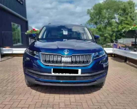 Использовал Skoda Kodiaq Продается в Лондон , Большой Лондон , Англия #30619 - 1  image 