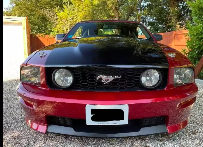 Использовал Ford Mustang Продается в Большой Лондон , Англия #31247 - 1  image 
