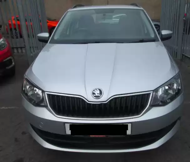مستعملة Skoda Fabia للبيع في دبي #31899 - 1  صورة 