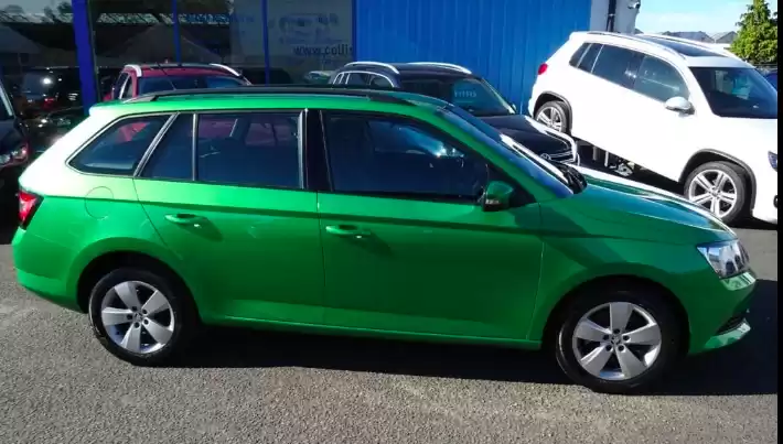 Использовал Skoda Fabia Продается в Дубай #31961 - 1  image 