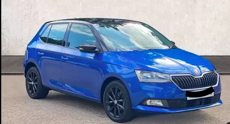 مستعملة Skoda Fabia للبيع في دبي #32013 - 1  صورة 