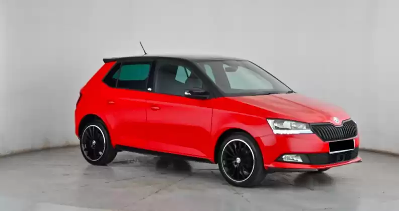 استفاده شده Skoda Fabia برای فروش که در دبی #32030 - 1  image 