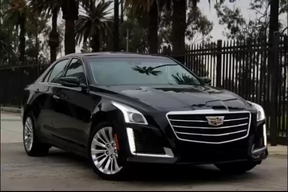 استفاده شده Cadillac CTS برای فروش که در دوحه #6253 - 1  image 