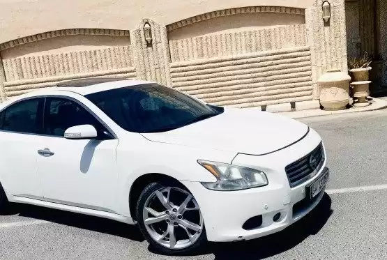مستعملة Nissan Maxima للبيع في الدوحة #8365 - 1  صورة 