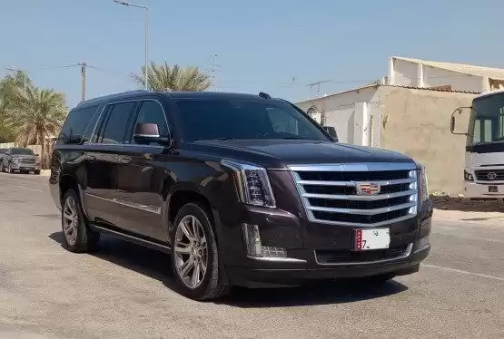 استفاده شده Cadillac Escalade برای فروش که در السد , دوحه #8464 - 1  image 