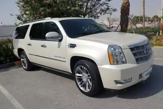 استفاده شده Cadillac Escalade برای فروش که در السد , دوحه #8729 - 1  image 