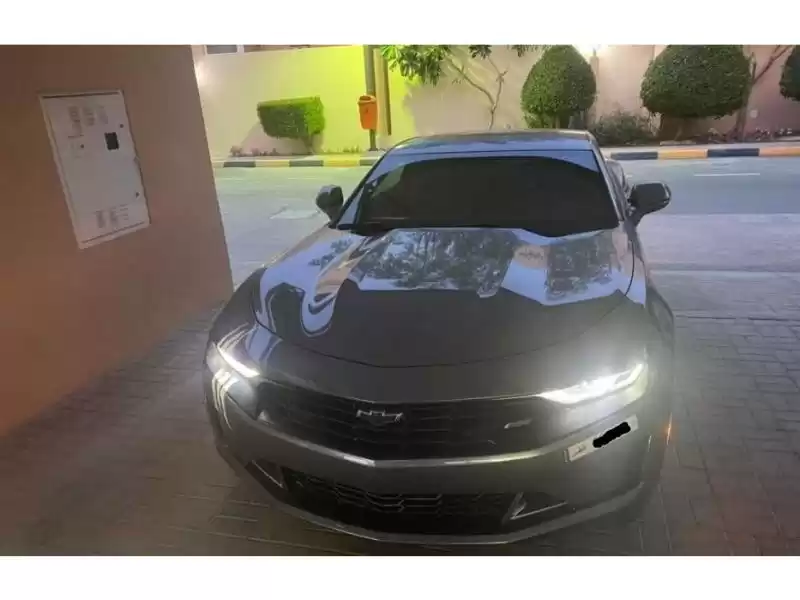 استفاده شده Chevrolet Camaro برای فروش که در السد , دوحه #9041 - 1  image 
