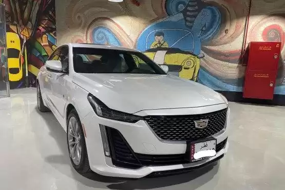 مستعملة Cadillac CTS للبيع في الدوحة #9079 - 1  صورة 