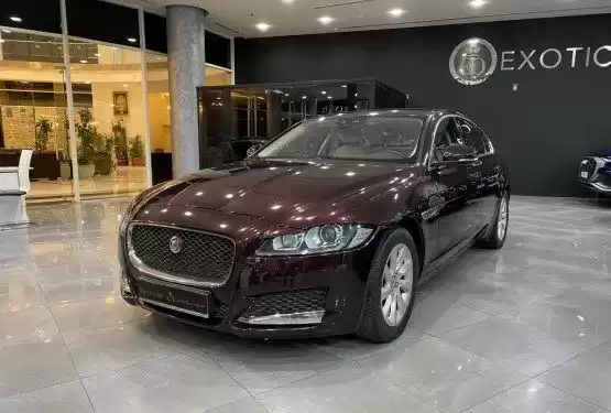 مستعملة Jaguar XF للبيع في الدوحة #9392 - 1  صورة 