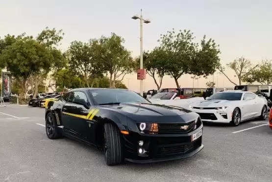 استفاده شده Chevrolet Camaro برای فروش که در السد , دوحه #9398 - 1  image 