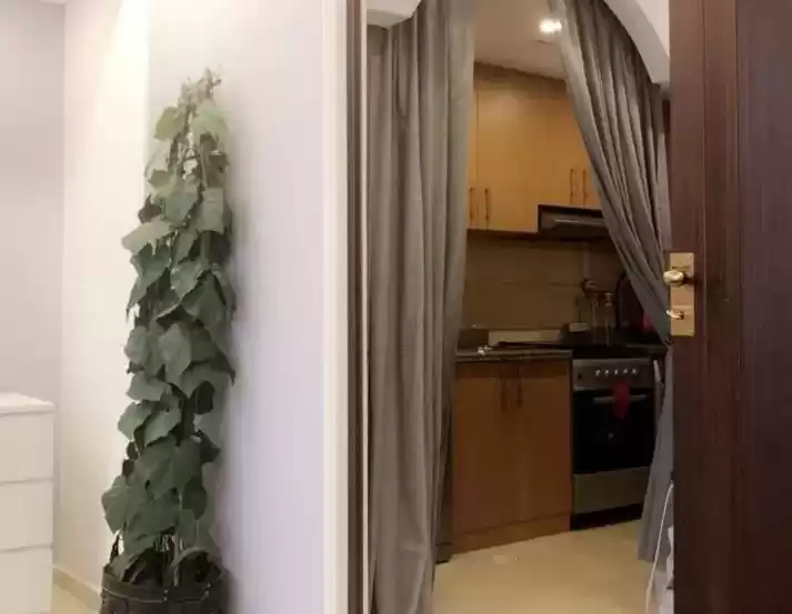 住宅 就绪物业 工作室 楼/楼 公寓  出售 在 萨德 , 多哈 #10024 - 1  image 