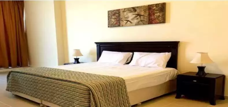 Residential Ready Property 3 Bedrooms F/F Apartment  for rent in Al Sadd , Doha #11769 - 1  image 