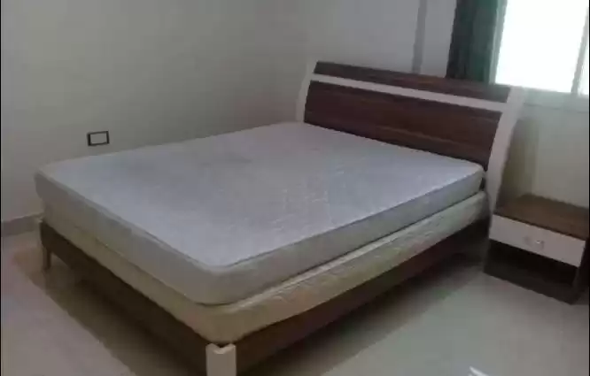 مسکونی املاک آماده 1 اتاق خواب F/F اپارتمان  برای اجاره که در دوحه #13764 - 1  image 