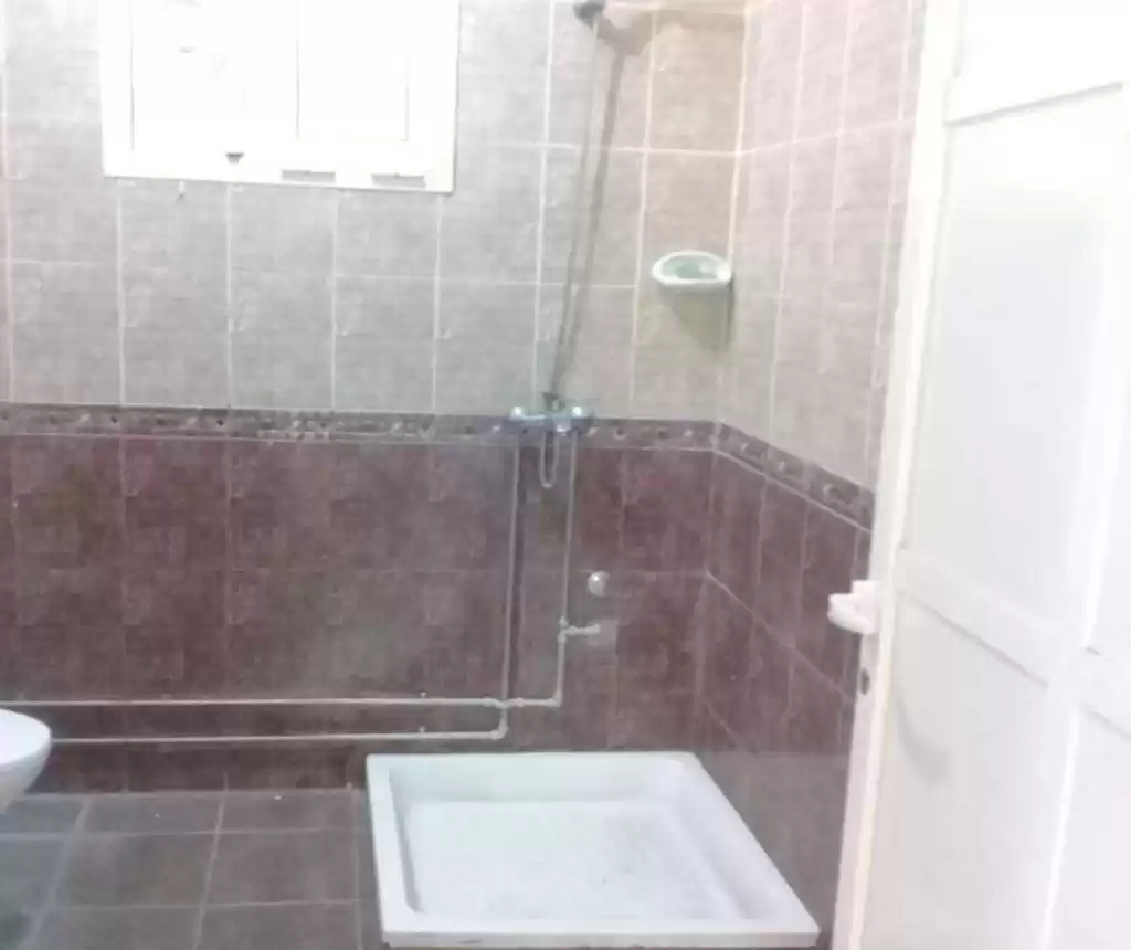Residential Ready Property 2 Bedrooms U/F Apartment  for rent in Al Sadd , Doha #13833 - 1  image 