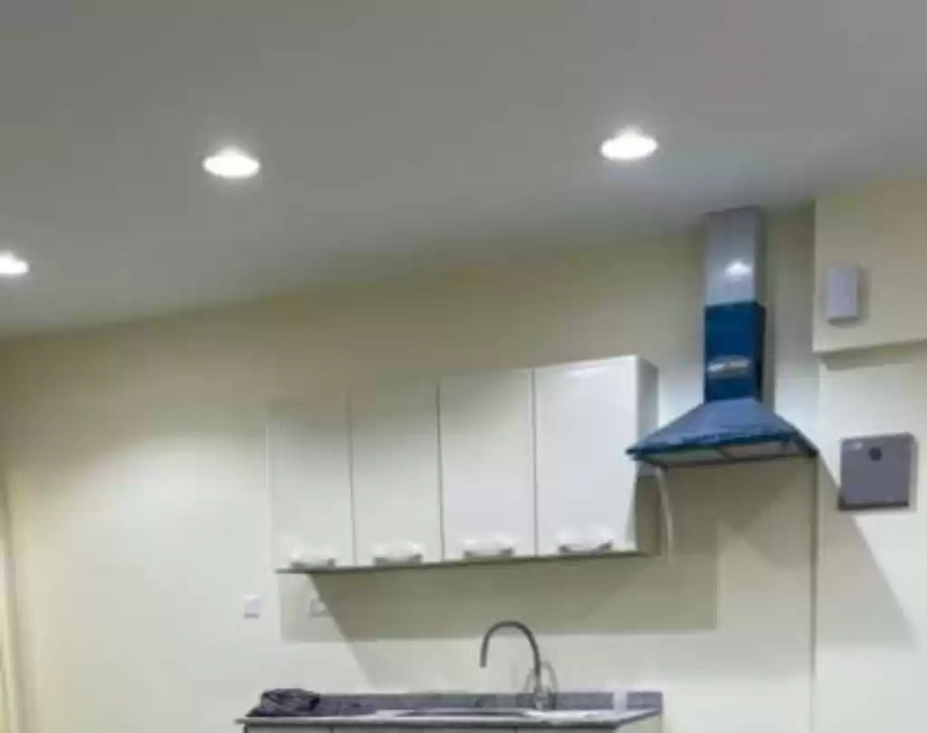 Résidentiel Propriété prête 1 chambre U / f Appartement  a louer au Al-Sadd , Doha #14661 - 1  image 