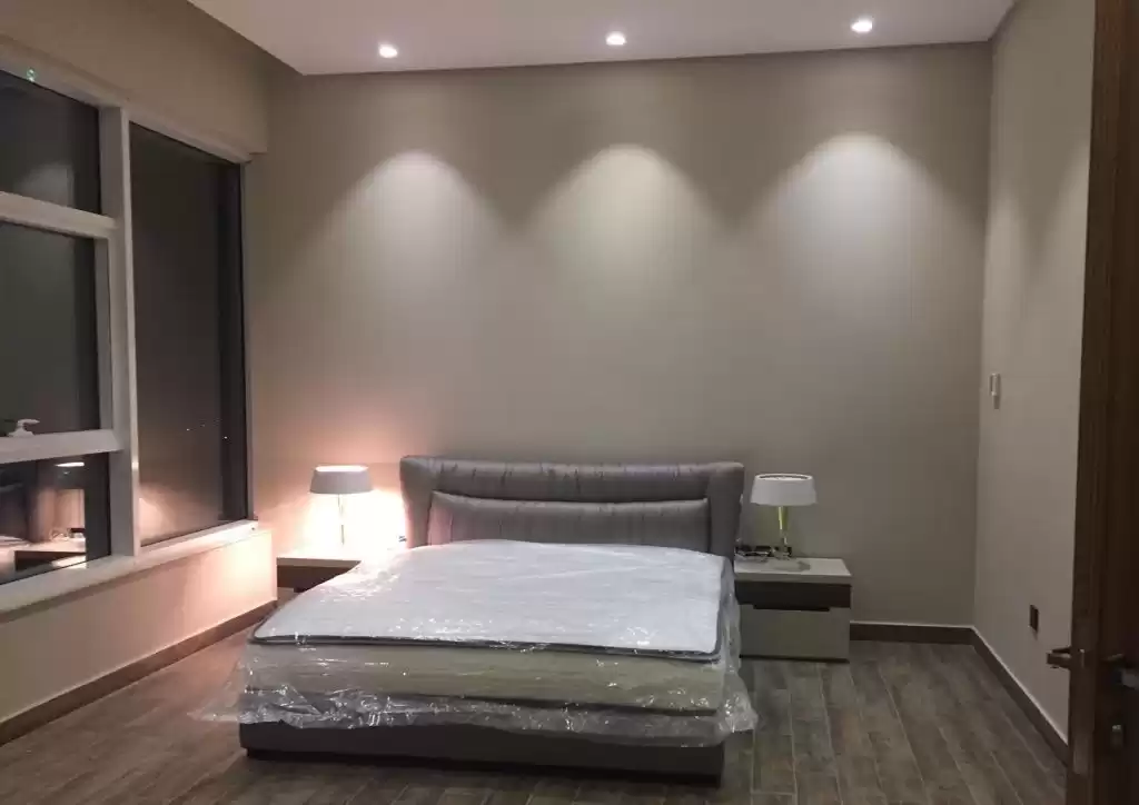 Residential Ready Property 2 Bedrooms F/F Duplex  for rent in Al Sadd , Doha #16343 - 1  image 