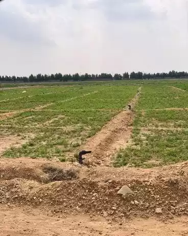 Land Ready Property Mixed Use Land  for rent in Doha #16953 - 1  image 