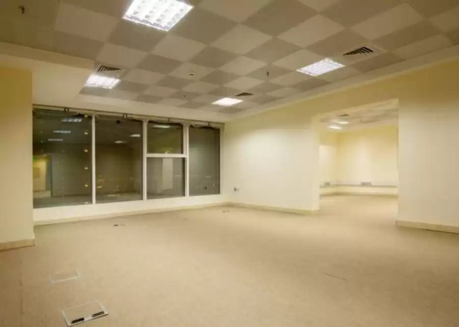 住宅 就绪物业 7+ 卧室 U/F 建造  出租 在 萨德 , 多哈 #17498 - 1  image 