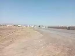 زمین املاک آماده زمین تجاری  برای فروش که در السد , دوحه #18968 - 1  image 