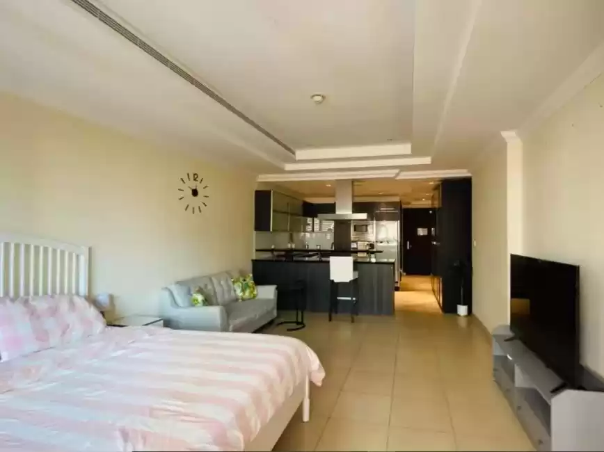 住宅 就绪物业 工作室 楼/楼 公寓  出售 在 萨德 , 多哈 #20482 - 1  image 