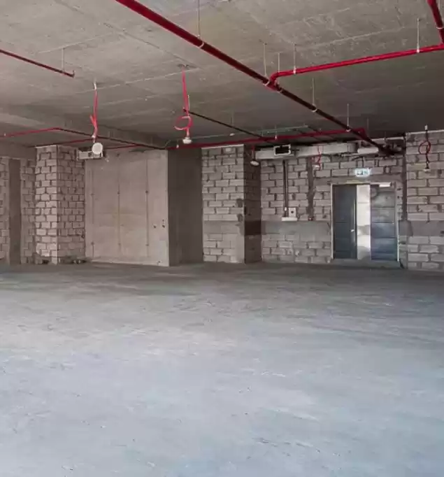 Commercial Shell & Core U / f Bureau  à vendre au Al-Sadd , Doha #21121 - 1  image 