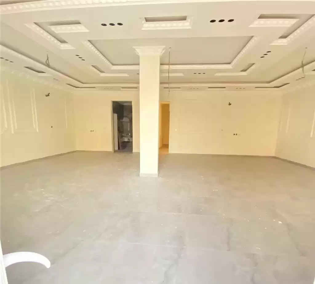 住宅 就绪物业 7+ 卧室 U/F 独立别墅  出售 在 萨德 , 多哈 #21176 - 1  image 
