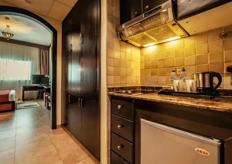 Mixed Use Ready Property Studio F/F Hotel Apartments  for rent in Dubai #22711 - 3  image 