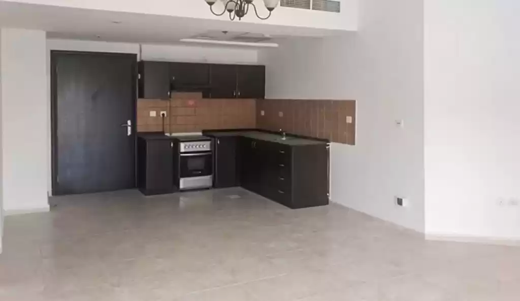 Résidentiel Propriété prête 2 chambres U / f Appartement  a louer au Dubai #23284 - 1  image 